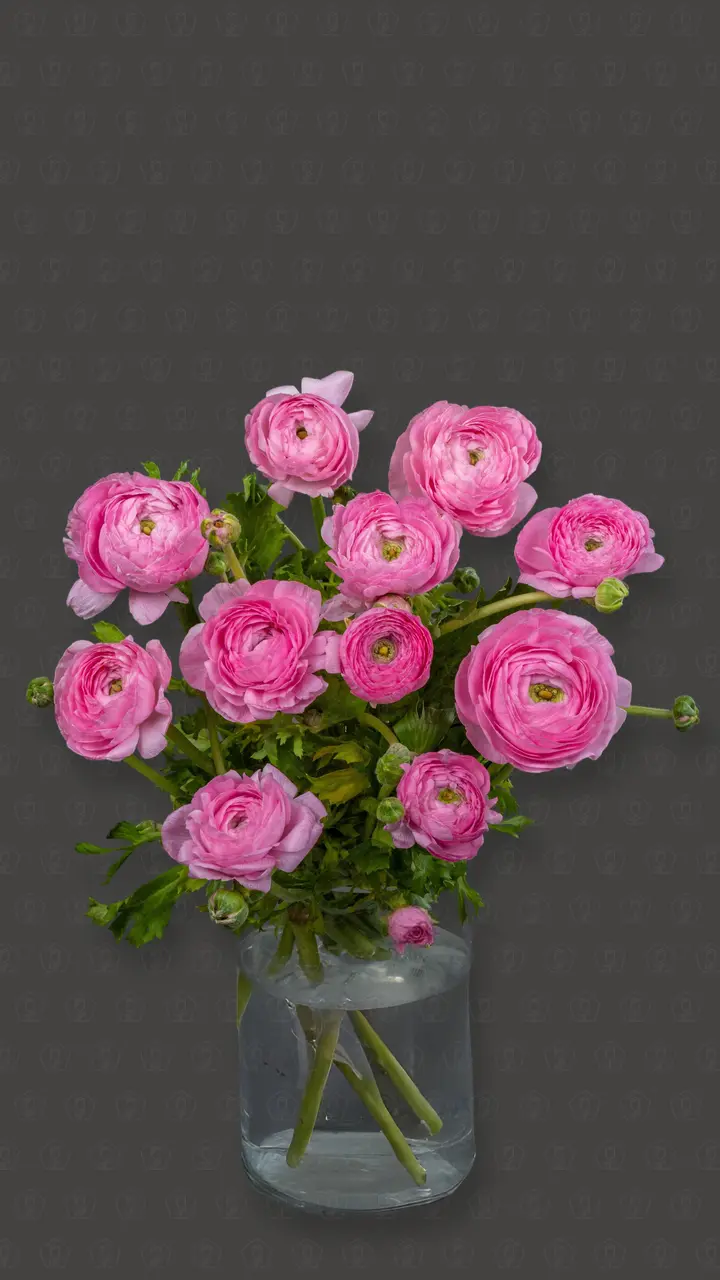 Новинки Новинки